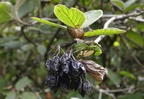 DSC8584 00001
